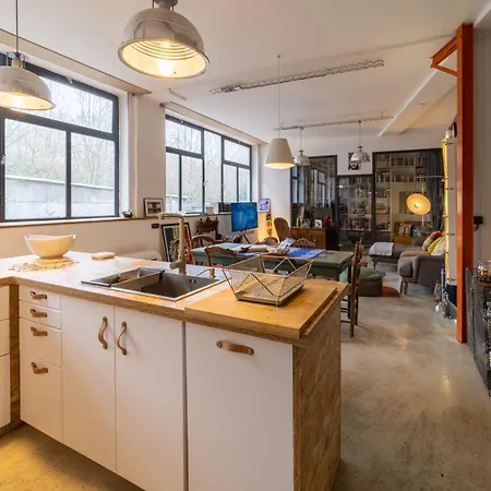 Apartment Loft - Clim - Park - 5mn From The Heart Of Town *