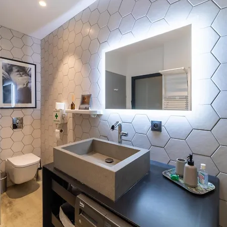 Loft - Clim - Park - 5mn From The Heart Of Town Apartment Pau