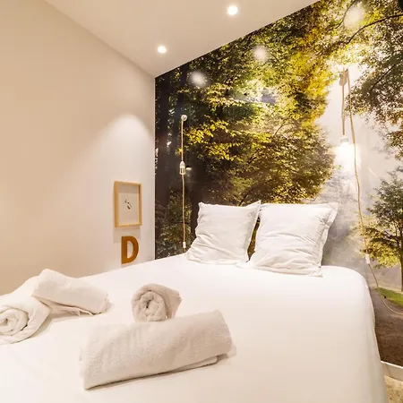 Loft - Clim - Park - 5mn From The Heart Of Town Apartment